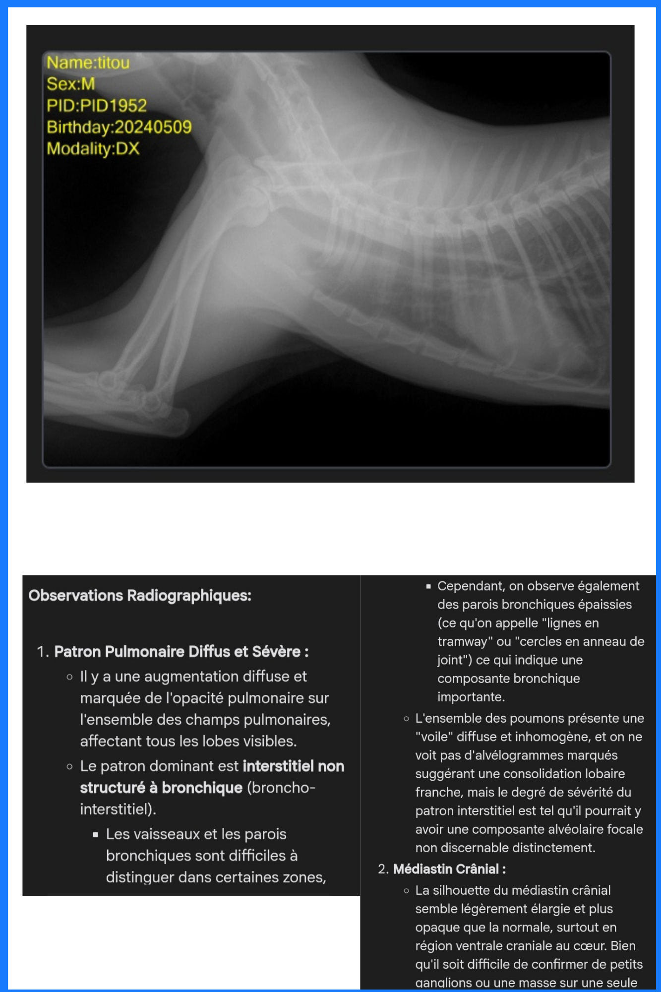 Radiographie d'un animal